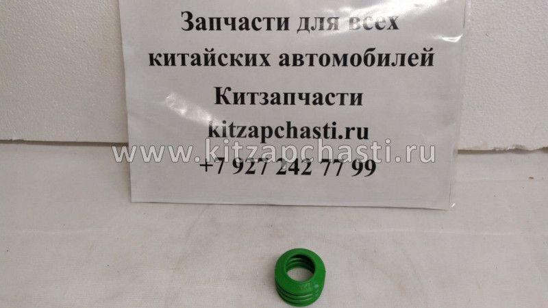 Манжета суппорта малая BAW Fenix 1065 YF3501AD01-016