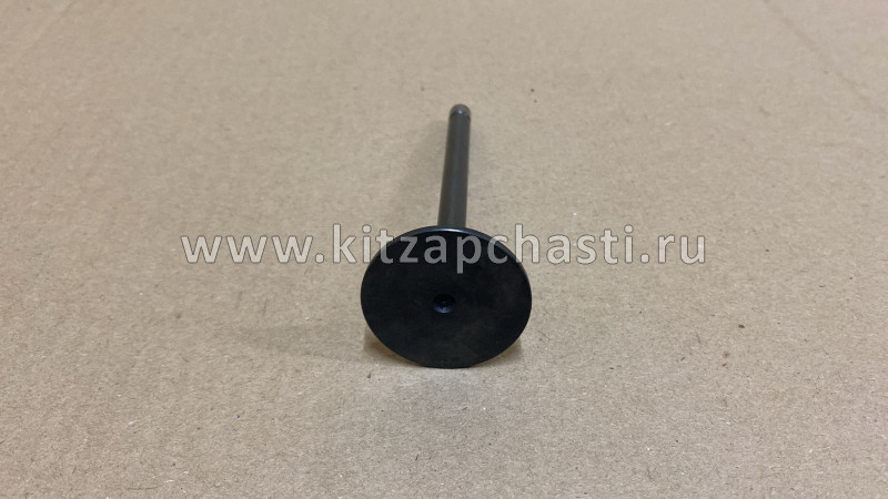 КЛАПАН ВПУСКНОЙ ГБЦ (E049301000093) FOTON 1039